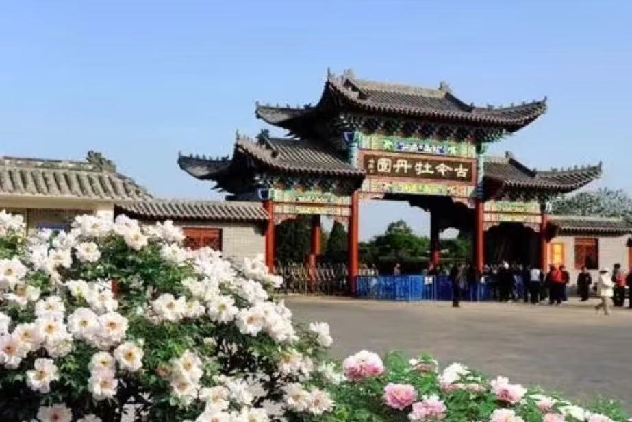 Caozhou Peony Garden